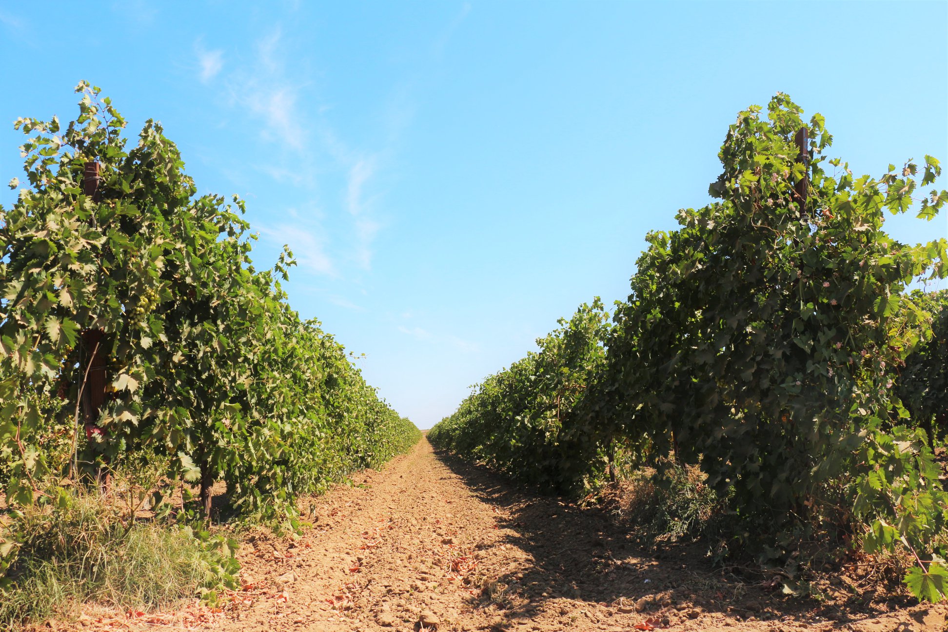 %2011 что написано на колонне при входе на завод фанагория