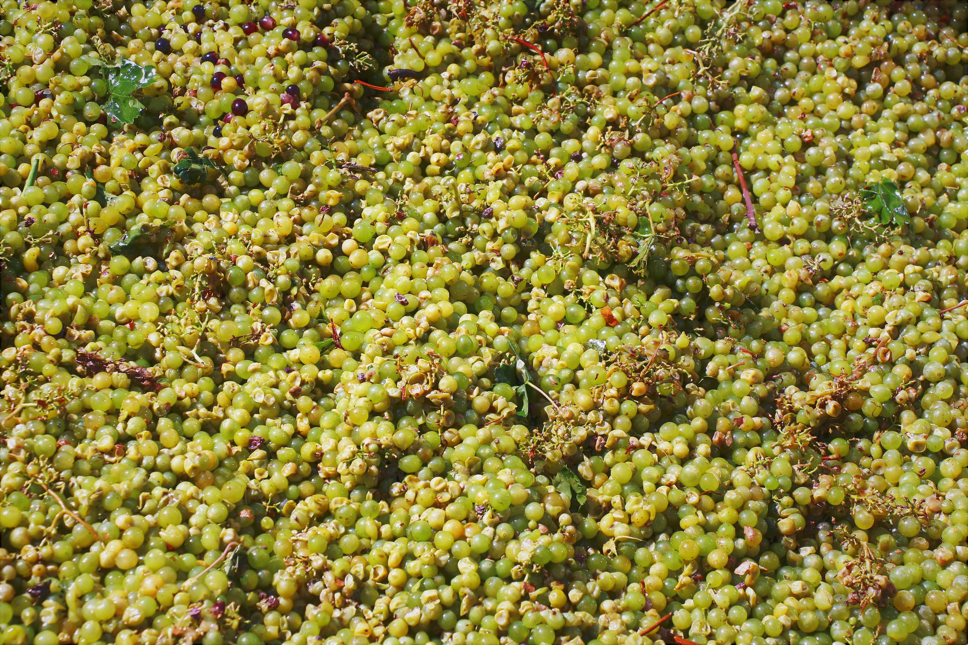 %2012 что написано на колонне при входе на завод фанагория