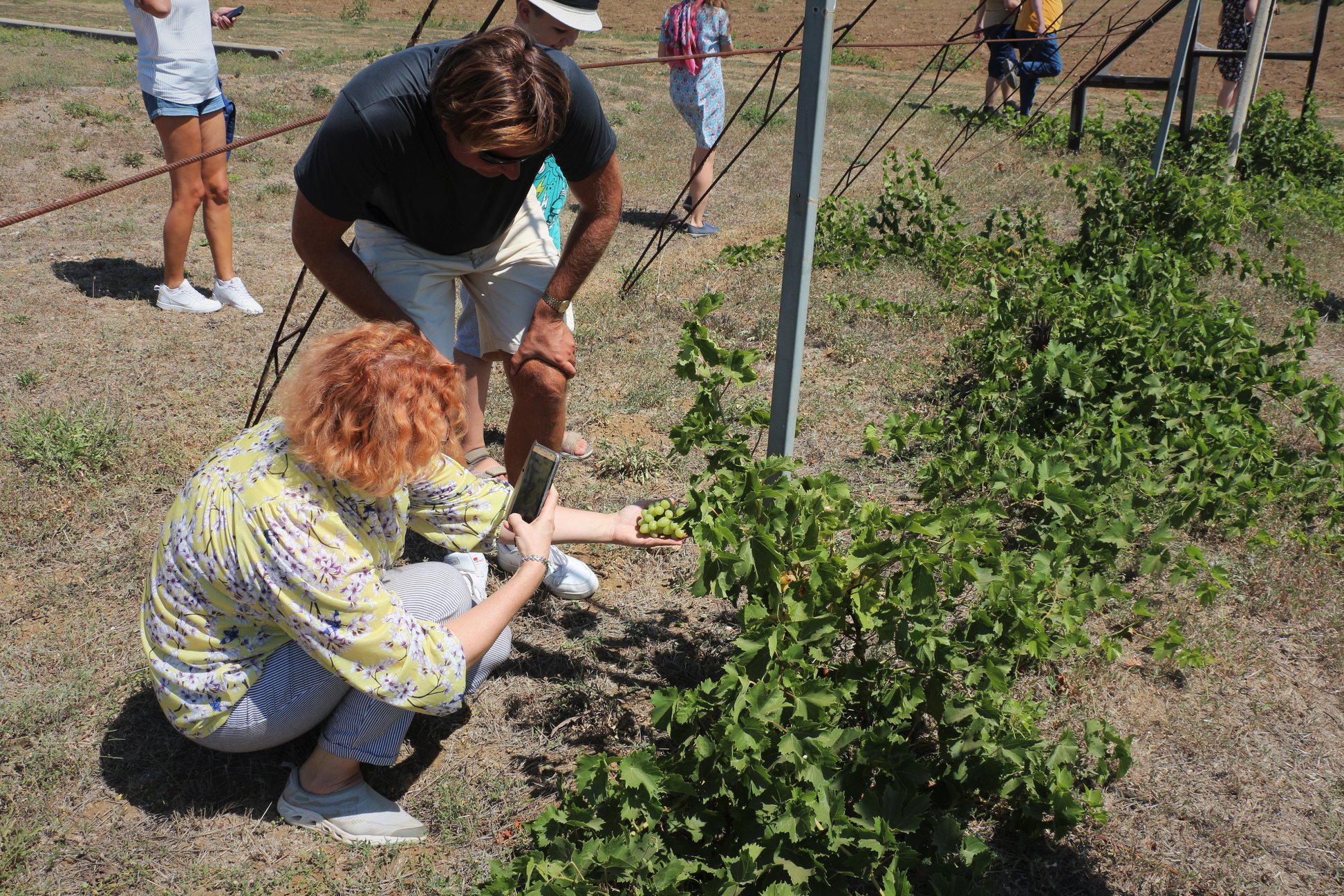 %2013 что написано на колонне при входе на завод фанагория