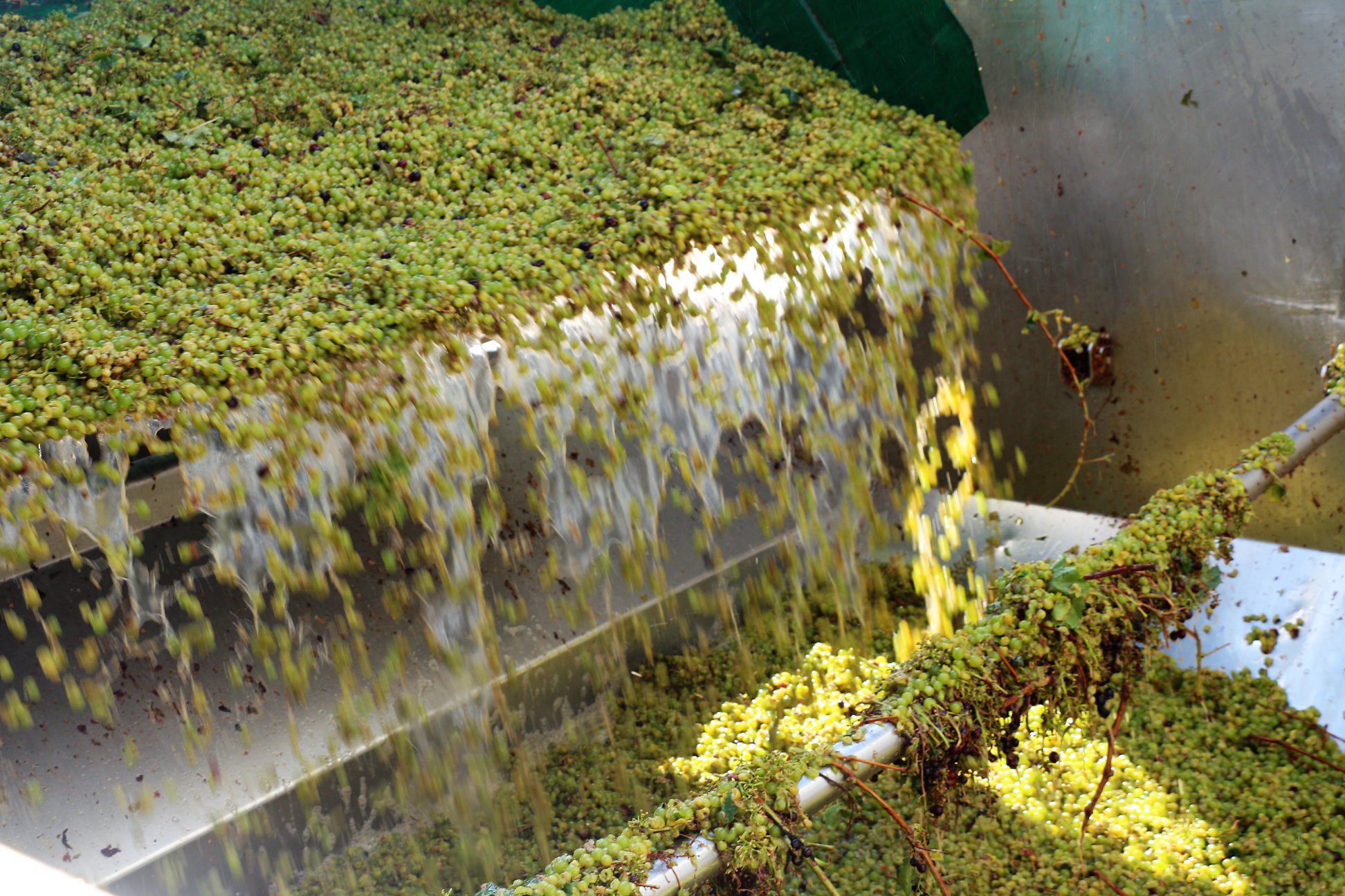 %2015 что написано на колонне при входе на завод фанагория